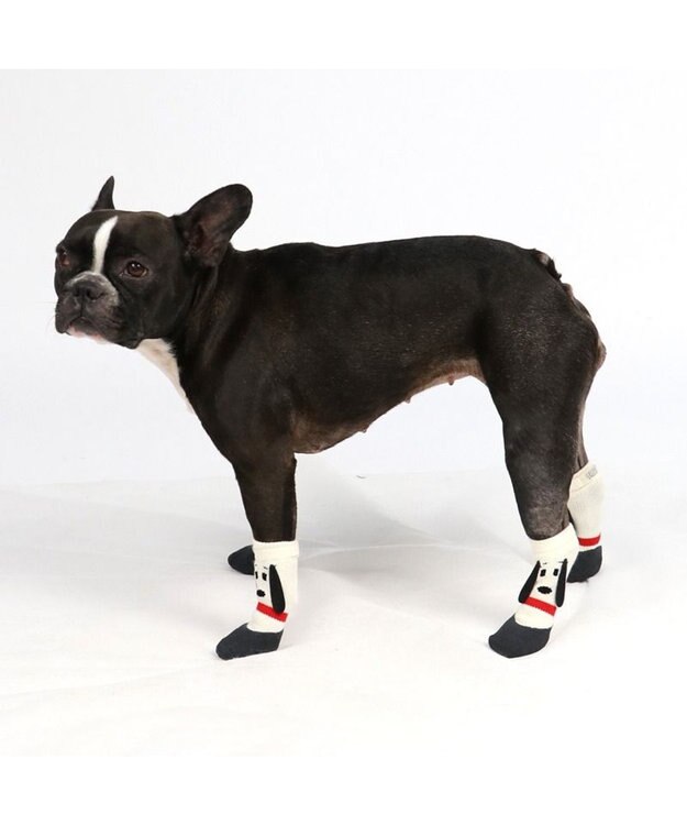 PET PARADISE スヌーピー フィットシューズ ＳＭ 白～オフホワイト