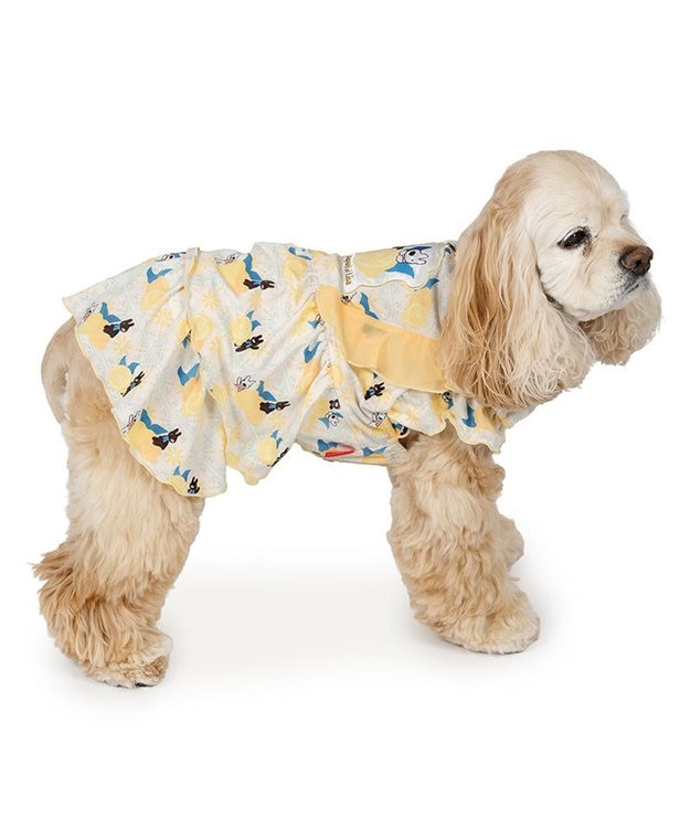 PET PARADISE リサとガスパール エコメイド シトラス ワンピース 中型犬 ホワイト×イエロー