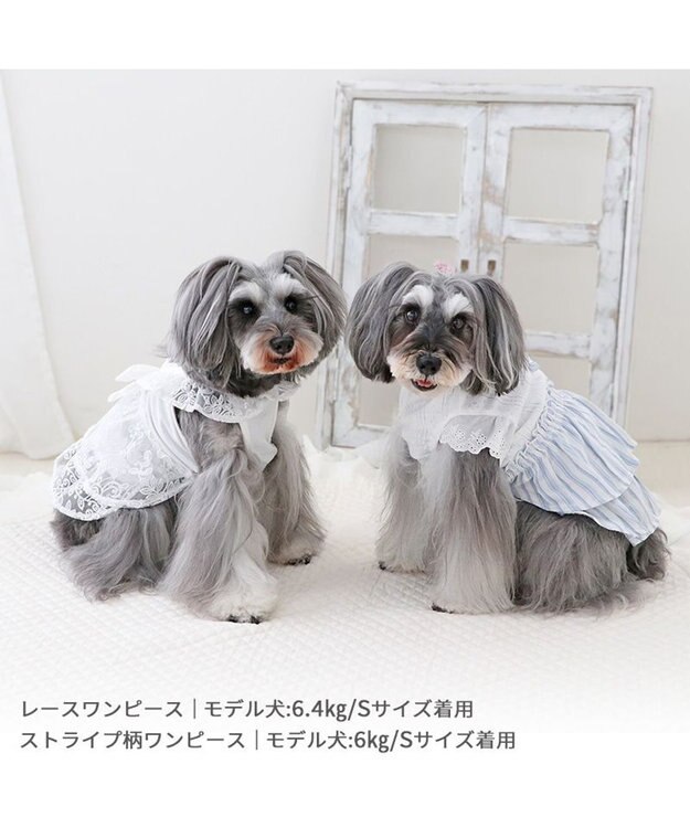 PET PARADISE ペットパラダイス ストライプ ワンピース 小型犬 ストライプ