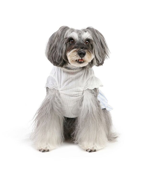 PET PARADISE ペットパラダイス ストライプ ワンピース 小型犬 ストライプ