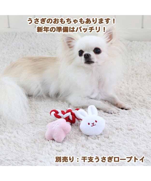 PET PARADISE 犬服 卯 犬 猫 帽子 ウサギ 【小型犬】 ピンク ホワイト ピンク（淡）