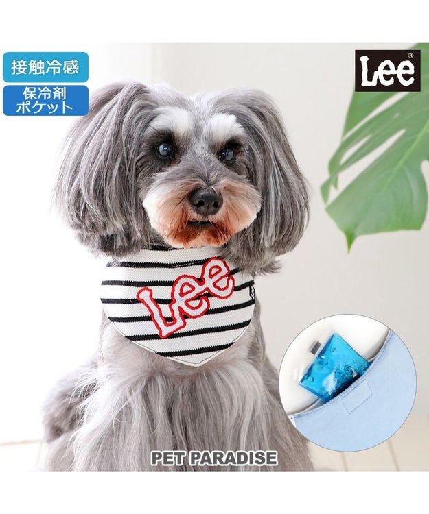 PET PARADISE Ｌｅｅ 冷感バンダナ 《ボーダー》 小型犬 ボーダー