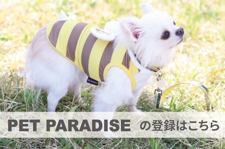 ペットパラダイス☆マザーガーデン LINE公式アカウント友だち募集中！マザーガーデンオンラインストア