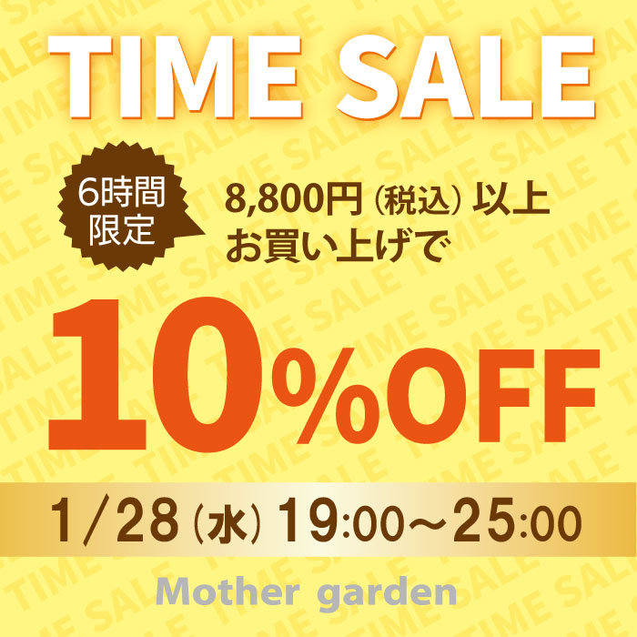 【6時間限定】 タイムセール 10％OFF