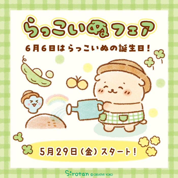 らっこいぬです(*^^*)他の方は購入不可‼ らっこいぬフェア 5/29（金）スタート！ | 【通販】雑貨とペット用品の