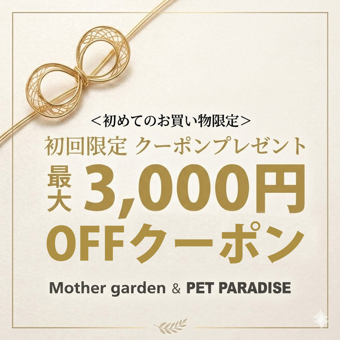 ☆初回限定最大3,000円OFFキャンペーン