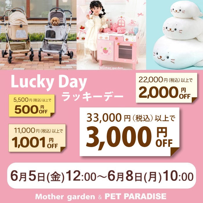 みっくんママ様✩⋆確認専用ページ バースデーガーランド（ネーム含む） 6月5日～☆ ラッキーday 最大3,000円OFF☆ | 【通販】雑貨とペット用品