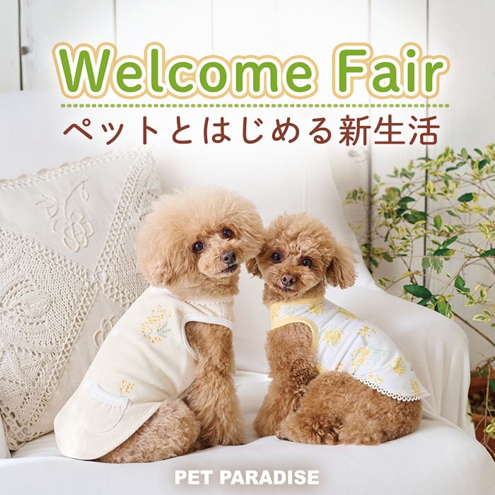 ペットと始める新生活　ウェルカムフェア♪