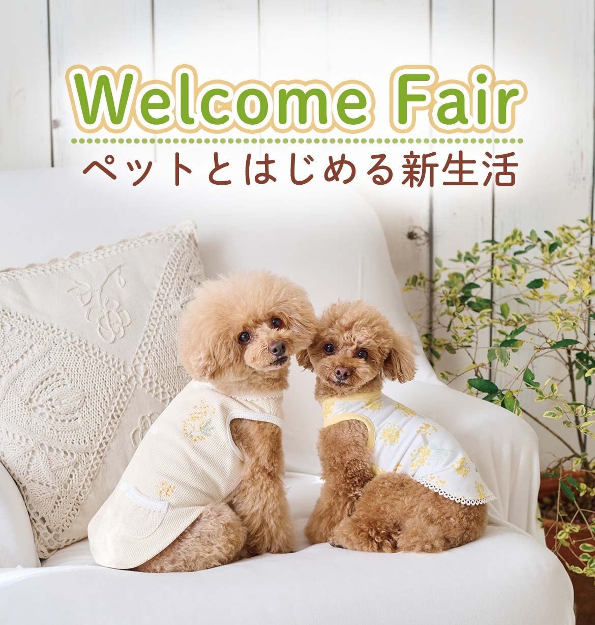 公式】 PET PARADISE | 【通販】雑貨とペット用品の通販サイト