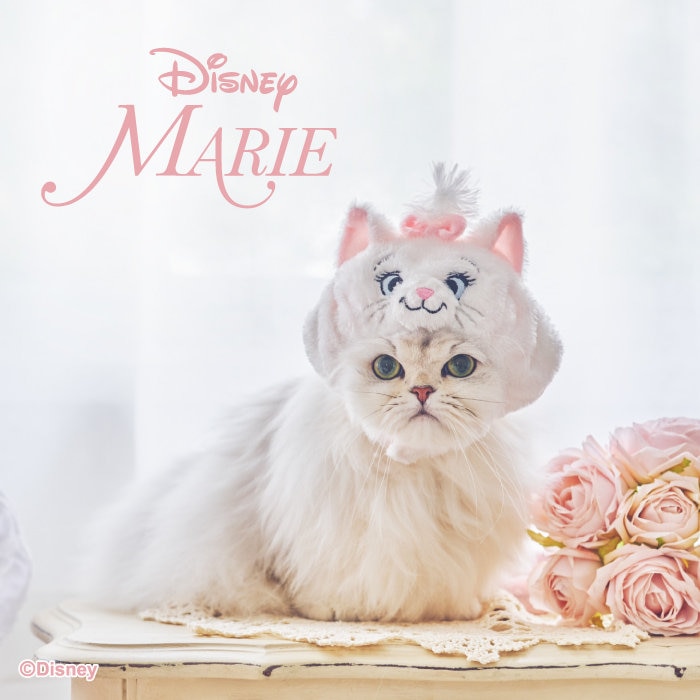 Disney ❛❛ MARIE ❜❜ 猫用ペット用品 2/16 発売 | 【通販】雑貨とペット用品の通販サイト | マザーガーデン＆ペットパラダイス