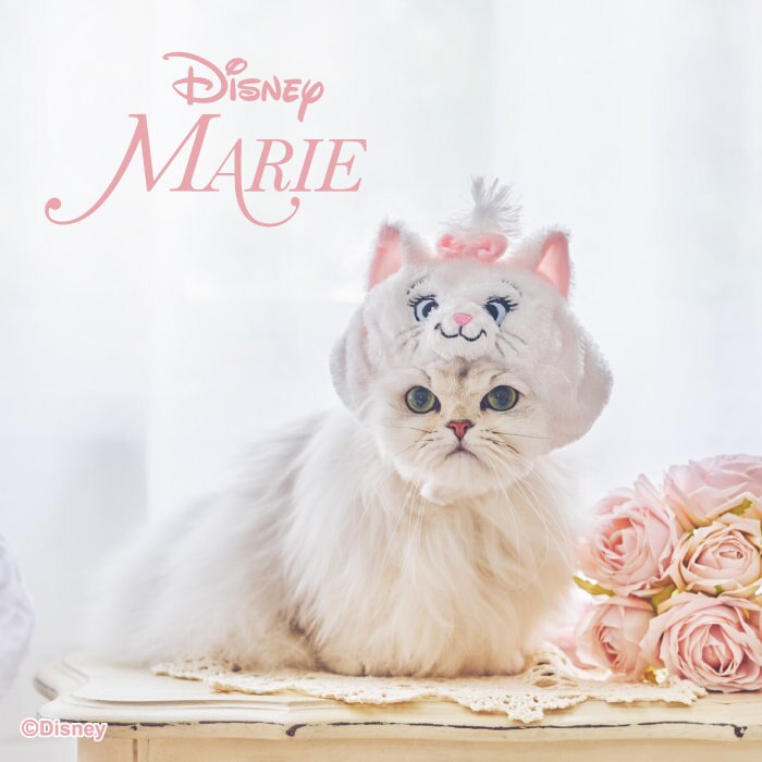 Disney ❛❛ MARIE ❜❜ 猫用ペット用品 2/16 発売 | 【通販】雑貨と 