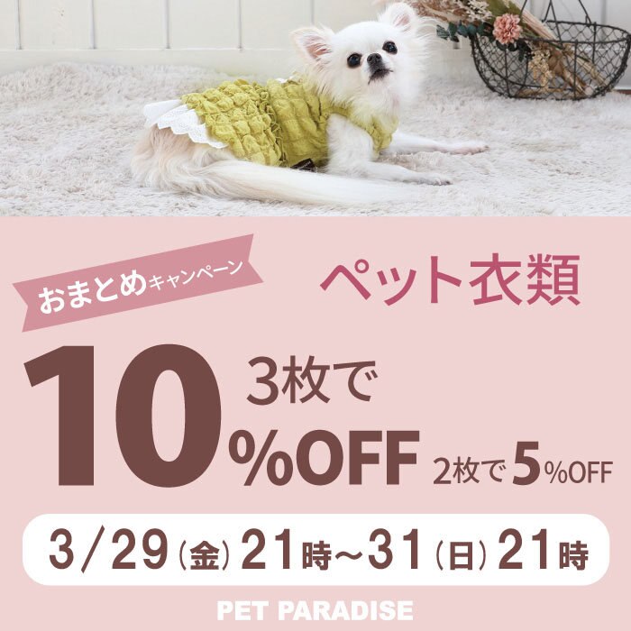 衣類おまとめでお買い得 ＼ 3点以上で10％OFF 2点で5％OFF ／セールも