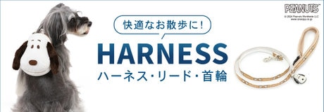 🐶【数量＆期間限定】“名入れバンダナ付き”リード＆ハーネス🐶 | 【通販】雑貨とペット用品の通販サイト | マザーガーデン＆ペットパラダイス