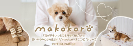 もこわんこ おはようございます🍁 ドックワンです‼️ ⁡ モコちゃん