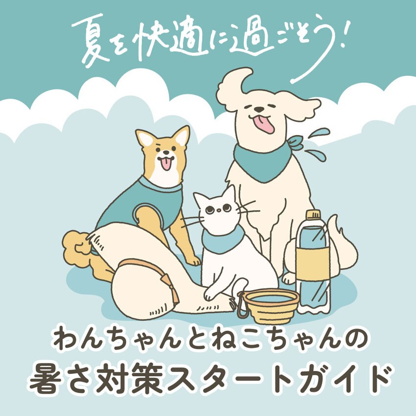 わんちゃんとねこちゃんの暑さ対策スタートガイド
