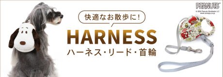 HAPPY ANNIVERSARY 44th クリアバッグプレゼント | 【通販】雑貨とペット用品の通販サイト | マザーガーデン＆ペットパラダイス
