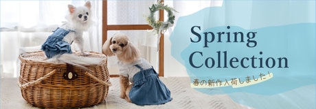 🐶【期間限定】名入れスタイ受注会🐶 | 【通販】雑貨とペット用品の通販サイト | マザーガーデン＆ペットパラダイス