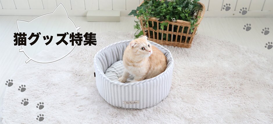 nekotoppc22.jpg