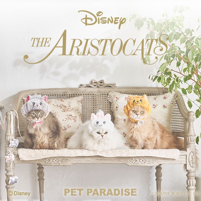 おしゃれキャット Disney ❛❛ MARIE ❜❜ 2025 SPRING SUMMER 猫用商品 2/14 発売