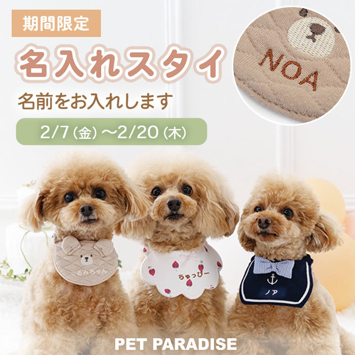 🐶【期間限定】名入れスタイ受注会🐶