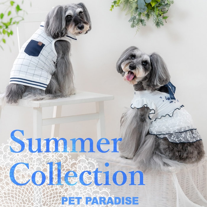 2025 SUMMER COLLECTION