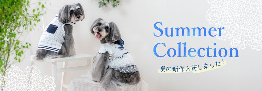 2025 Spring & Summer ウェア