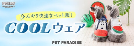 5月8日～おまとめでお買い得 ＼ 3点以上で10％OFF 2点で5％OFF ／ | 【通販】雑貨とペット用品の通販サイト | マザーガーデン＆ペットパラダイス