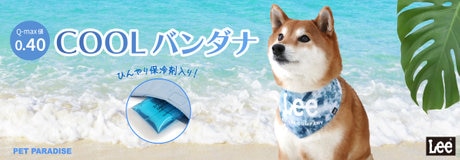 Special Day 10％OFF | 【通販】雑貨とペット用品の通販サイト | マザーガーデン＆ペットパラダイス