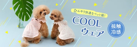 ラッキーday 最大2,000円OFF | 【通販】雑貨とペット用品の通販サイト | マザーガーデン＆ペットパラダイス