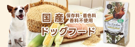 ラッキーday 最大2,000円OFF | 【通販】雑貨とペット用品の通販サイト | マザーガーデン＆ペットパラダイス