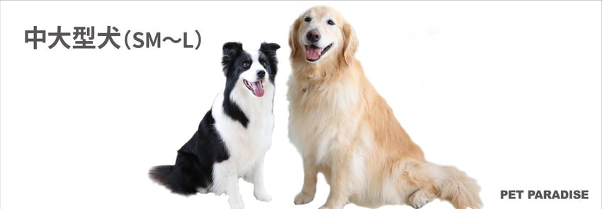 中型＆大型犬
