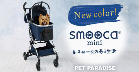 Special Day 10％OFF | 【通販】雑貨とペット用品の通販サイト | マザーガーデン＆ペットパラダイス