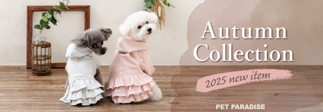 Thanks day 10%OFF | 【通販】雑貨とペット用品の通販サイト | マザーガーデン＆ペットパラダイス