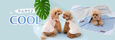 Special Day 10％OFF | 【通販】雑貨とペット用品の通販サイト | マザーガーデン＆ペットパラダイス