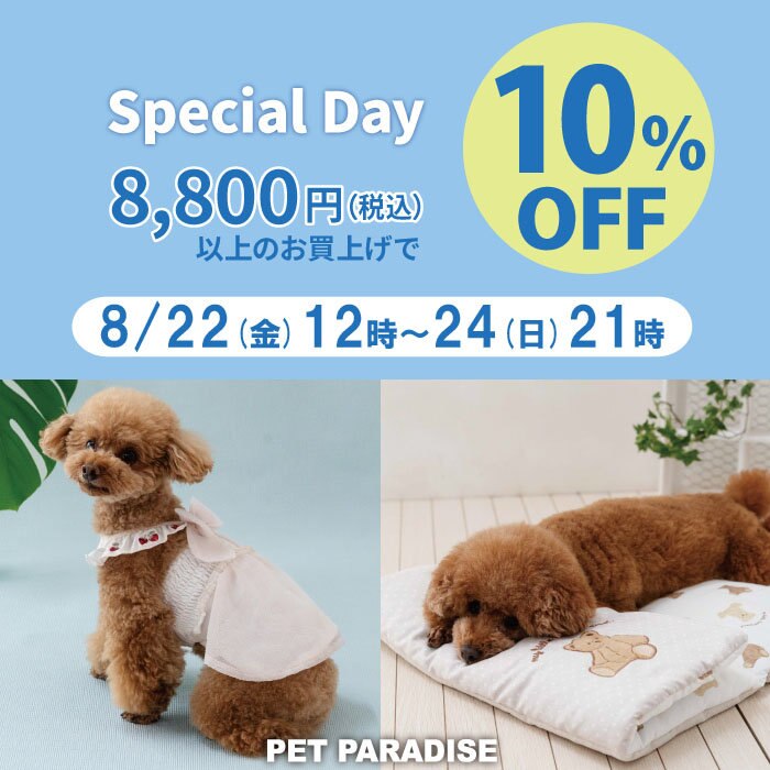 Special Day 10％OFF | 【通販】雑貨とペット用品の通販サイト