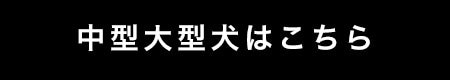 まだ暑いけど・・・秋のお洒落を先取り | 【通販】雑貨とペット用品の通販サイト | マザーガーデン＆ペットパラダイス