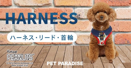 BLACK FRIDAY 10％OFF | 【通販】雑貨とペット用品の通販サイト | マザーガーデン＆ペットパラダイス