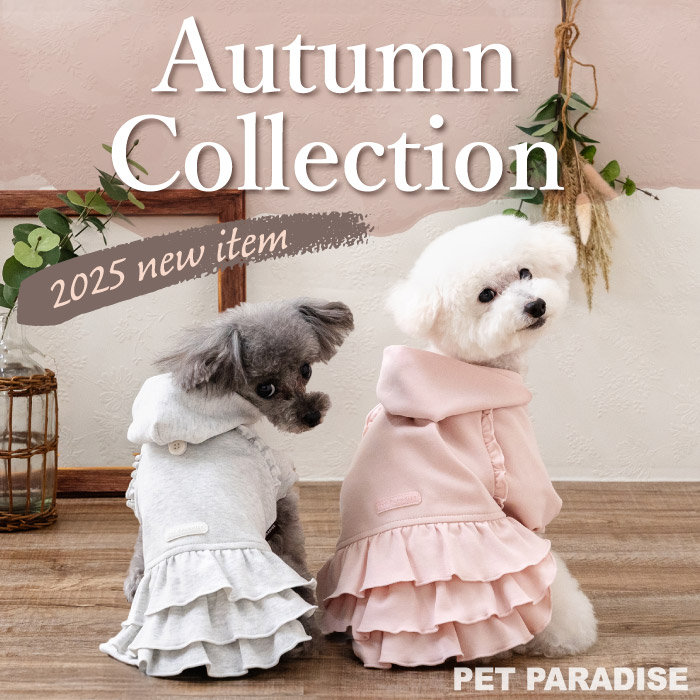 まだ暑いけど・・・秋のお洒落を先取り