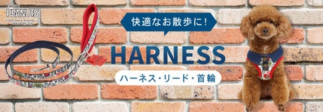 Thanks day 10%OFF | 【通販】雑貨とペット用品の通販サイト | マザーガーデン＆ペットパラダイス