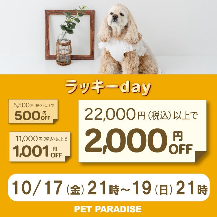 2025.10.20 KIDS&OTHERS ニュース | 【通販】雑貨とペット用品の