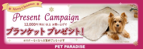 Thanks day 10%OFF | 【通販】雑貨とペット用品の通販サイト | マザーガーデン&ペットパラダイス