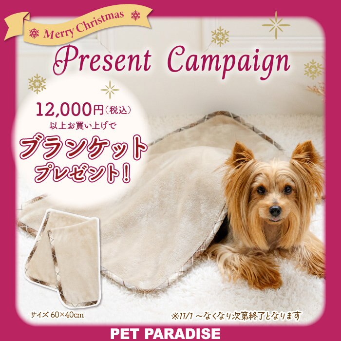 🎁【数量限定】ハーフブランケットプレゼント🐶 | 【通販】雑貨と