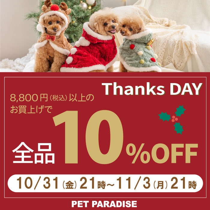 Thanks day 10%OFF