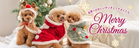 おまとめでお買い得 ＼ 3点以上で10％OFF 2点で5％OFF ／ | 【通販】雑貨とペット用品の通販サイト | マザーガーデン＆ペットパラダイス