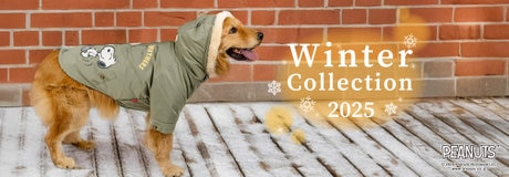 ラッキーday 最大2,000円OFF | 【通販】雑貨とペット用品の通販サイト | マザーガーデン＆ペットパラダイス