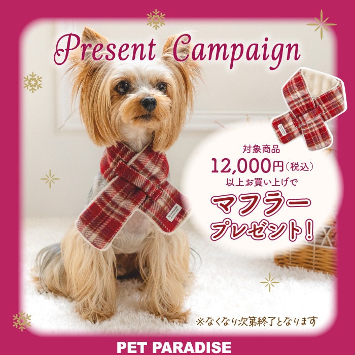 数量限定】ペット用マフラープレゼント🧣 | 【通販】雑貨とペット用品