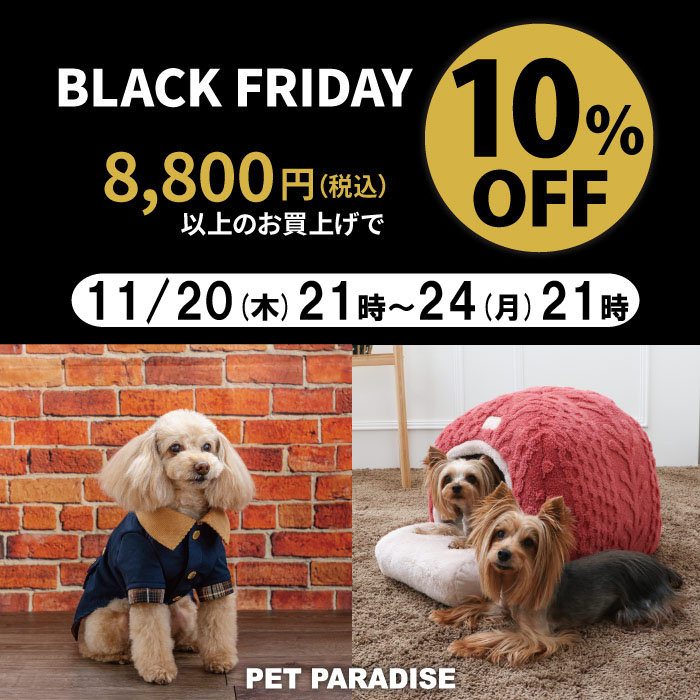 BLACK FRIDAY 10％OFF
