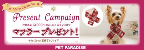 Thanks day 10%OFF | 【通販】雑貨とペット用品の通販サイト | マザーガーデン＆ペットパラダイス