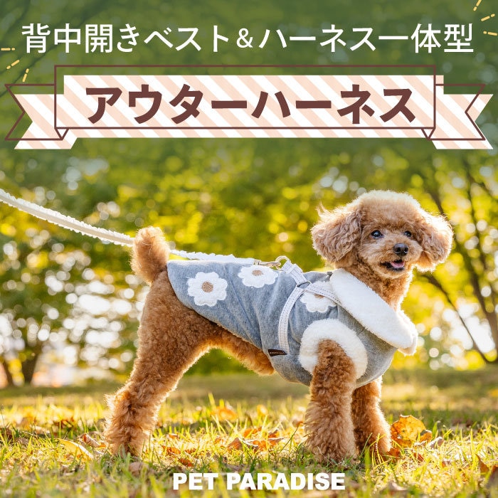 冬のお散歩のわずらわしさ解消！