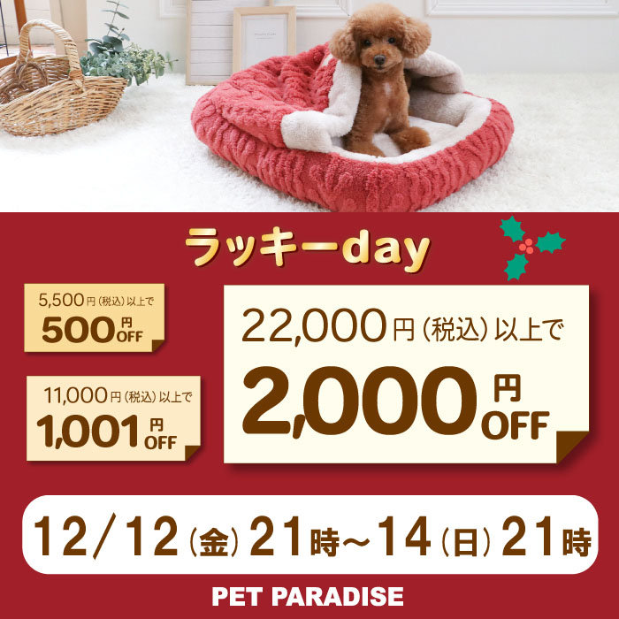 ラッキーday 最大2,000円OFF